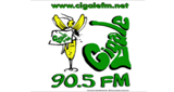 Cigale FM