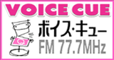 VOICE CUE